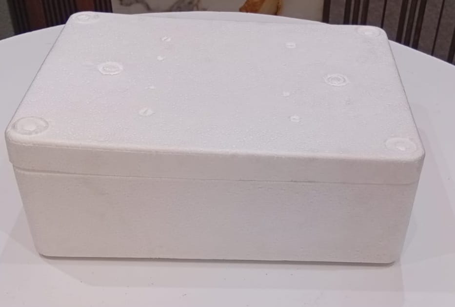 20kg Styrofoam box in Nairobi supplied by Industrial Materials Kenya for fish, meat, pharmaceuticals, and cold chain packaging