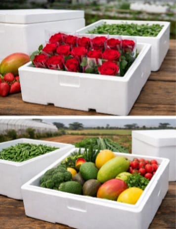 Premium Styrofoam Cooler Boxes used for food, fish, pharmaceutical, vaccine and cold chain transportation across East Africa.