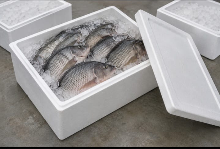 High-quality 10kg Styrofoam cooler box supplied by Industrial Materials Kenya in Nairobi for fish, meat, pharmaceutical and cold chain transportation.