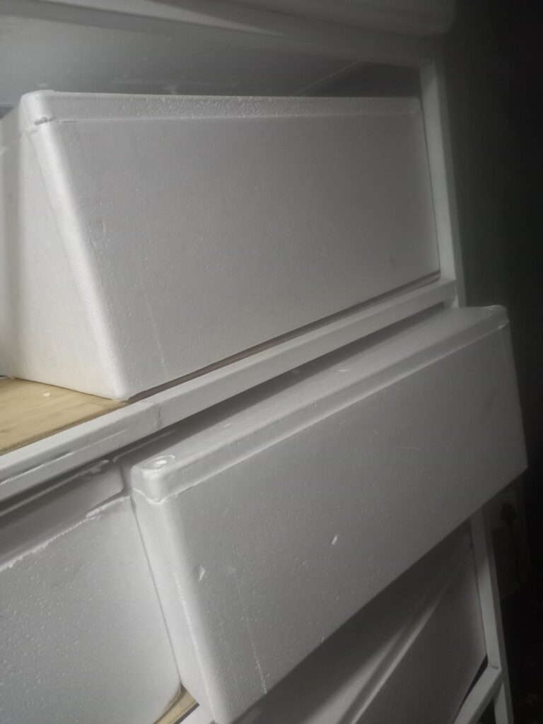 20kg Styrofoam box in Nairobi supplied by Industrial Materials Kenya for fish, meat, pharmaceuticals, and cold chain packaging